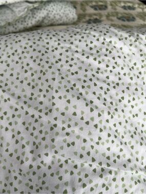 Schweitzer Linen Queen Sheet Set in Ditsy Green Pattern - Classic Home Bedding